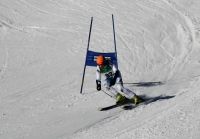 Landes-Ski-2015 33 Dietmar Pühringer